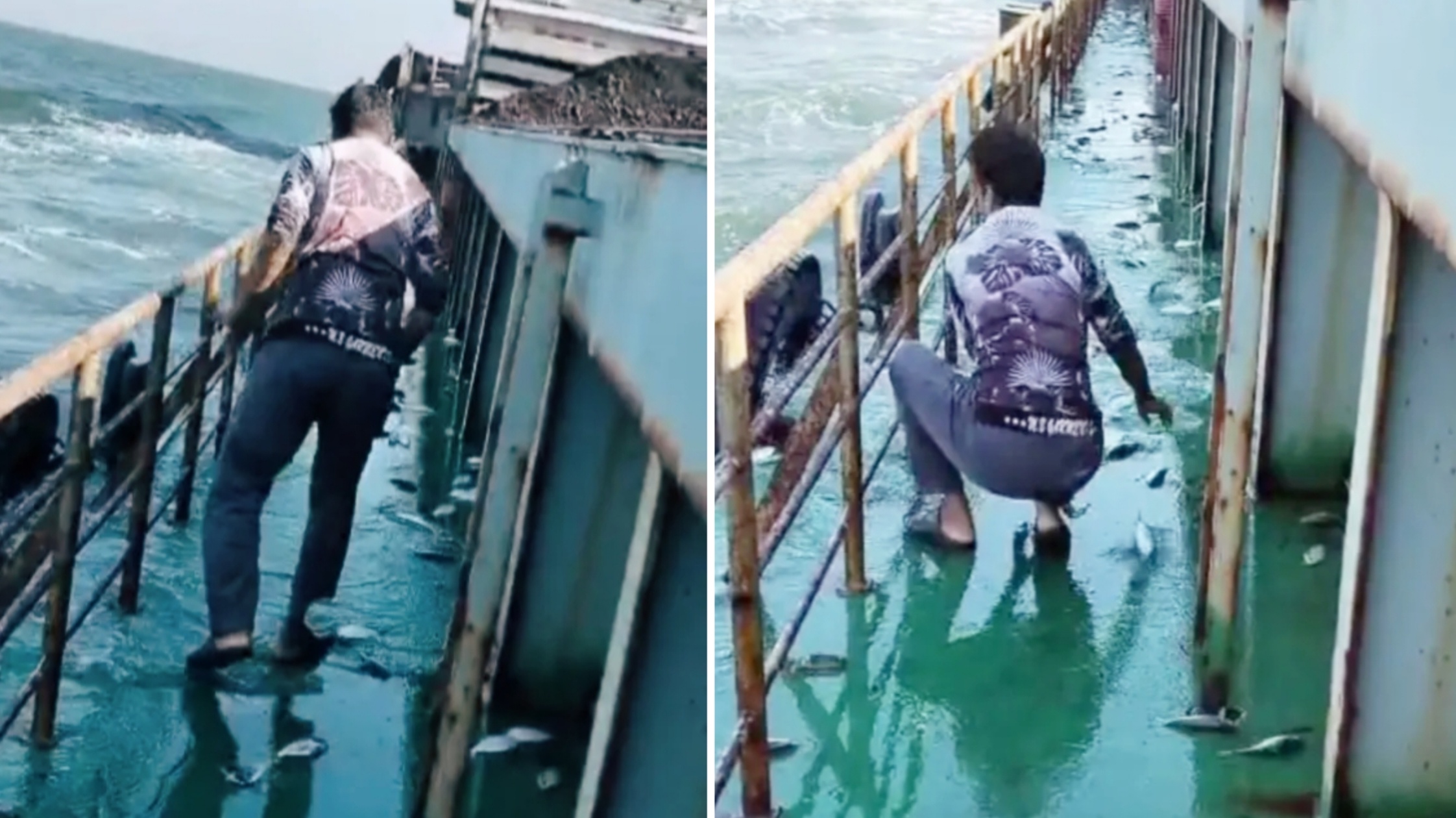 hilsa-jumps-on-ship-pyara-port