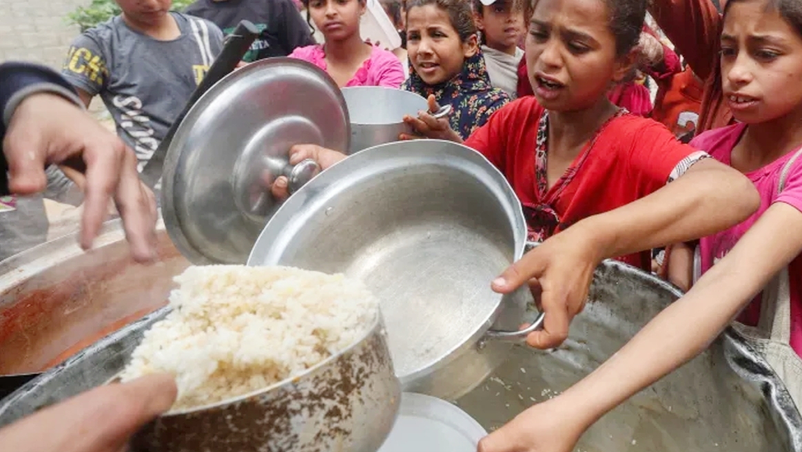 এফএওর বৈশ্বিক ক্ষুধা সতর্কতার প্রতীকী ছবি